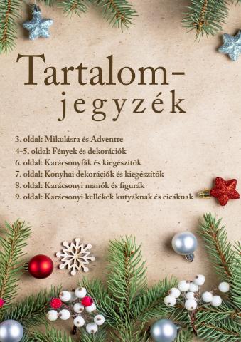 Euronics katalógus, Debrecen | Karácsonyi dekor | 2022. 10. 28. - 2022. 12. 04.